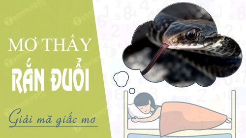 Mơ Thấy Rắn: Giải Mã Điềm Báo Linh Thiêng Và Bộ Số Tài Lộc