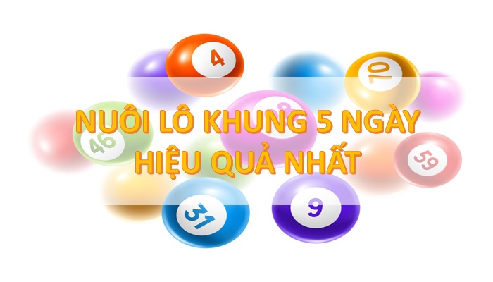 Nuôi Lô Kép Khung 5 Ngày Thắng Đẹp – Bắt Nhịp Kép, Theo Cầu Dễ Hơn