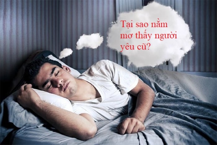 Giải Mã Sổ Mơ: Mơ Thấy Kiến Đánh Con Gì?