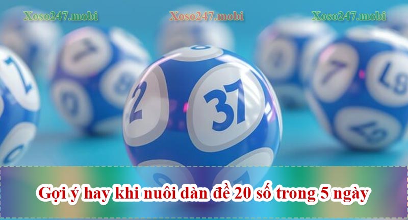 gợi ý hay khi nuôi dàn đề 20 số